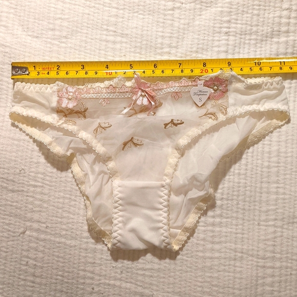 $7 addon. NWT embroidered mesh panties - Picture 3 of 4